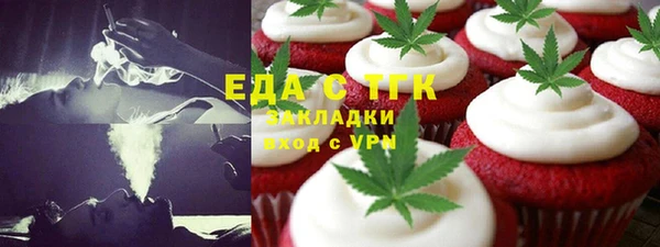 индика Богородицк
