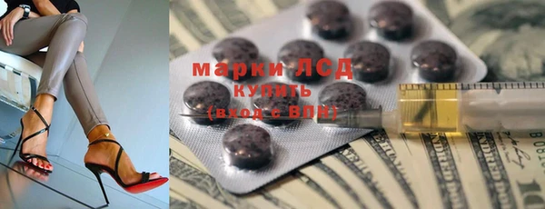 индика Богородицк