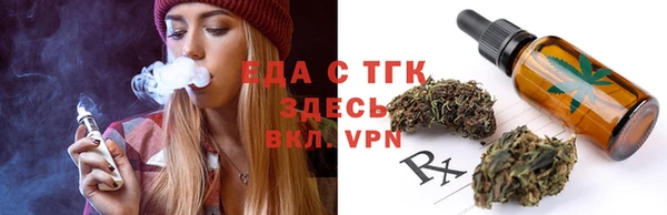индика Богородицк