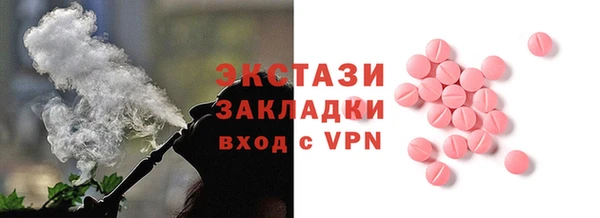 индика Богородицк