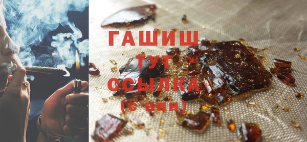 индика Богородицк