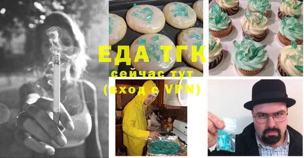индика Богородицк