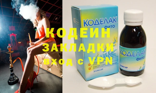 индика Богородицк