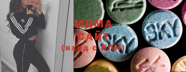 индика Богородицк