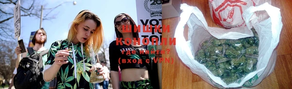 индика Богородицк