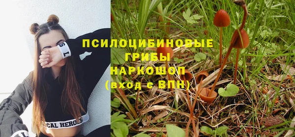 винт Богородск