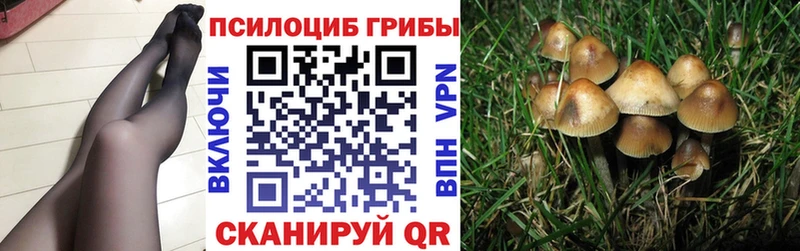 мориарти Telegram  Муравленко  Галлюциногенные грибы мицелий 